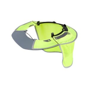 Bolt visor and sunshade