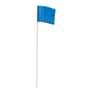 Banderines azules de 100 pzs de 2.5" x 3.5"