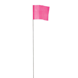 Banderines rosas de 100 pzs de 2.5" x 3.5"
